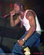Xzibit-picture-0334